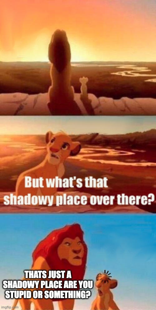 wanna get this to the front page? | THATS JUST A SHADOWY PLACE ARE YOU STUPID OR SOMETHING? | image tagged in memes,simba shadowy place,funny,stupid,what,wut | made w/ Imgflip meme maker