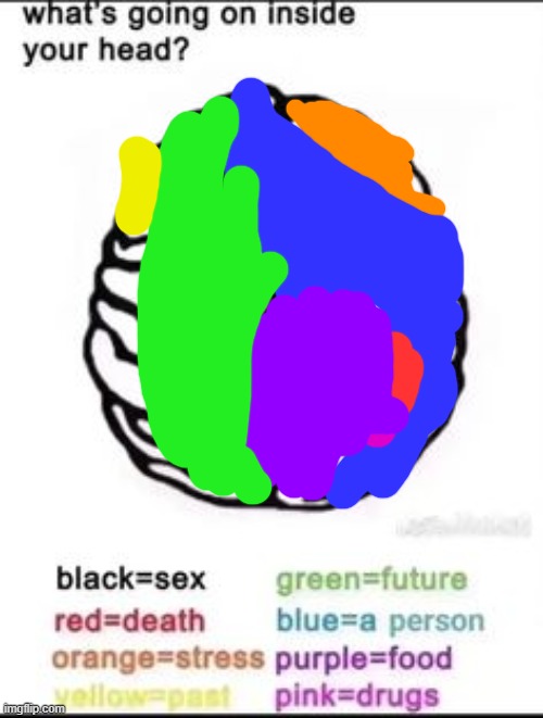 What's going on inside your head? | image tagged in what's going on inside your head | made w/ Imgflip meme maker