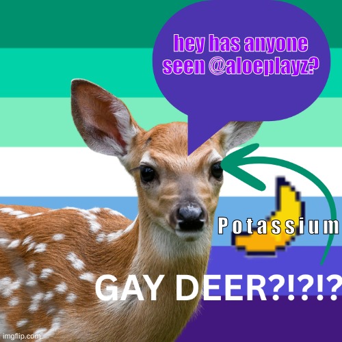 yuh | hey has anyone seen @aloeplayz? P o t a s s i u m | image tagged in deerlygay's temp v1 | made w/ Imgflip meme maker