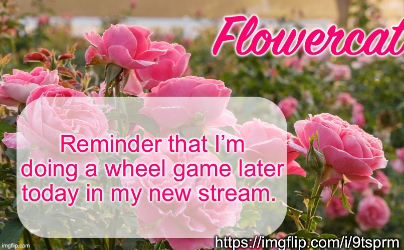 Flowercat template | Reminder that I’m doing a wheel game later today in my new stream. https://imgflip.com/i/9tsprm | image tagged in flowercat template | made w/ Imgflip meme maker