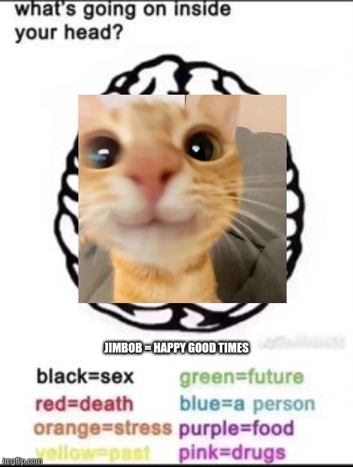 Jimbob | JIMBOB = HAPPY GOOD TIMES | image tagged in what's going on inside your head | made w/ Imgflip meme maker