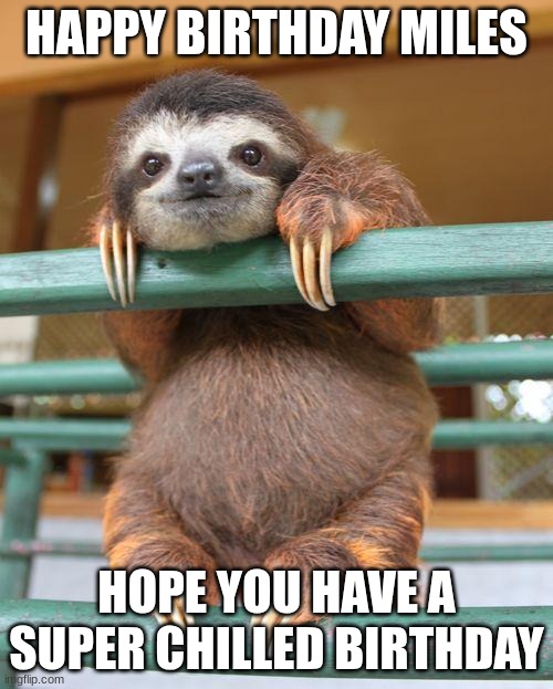 Birthday Sloth | HAPPY BIRTHDAY MILES; HOPE YOU HAVE A SUPER CHILLED BIRTHDAY | image tagged in birthday sloth | made w/ Imgflip meme maker
