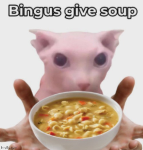 Bingus give soup | image tagged in bingus give soup | made w/ Imgflip meme maker