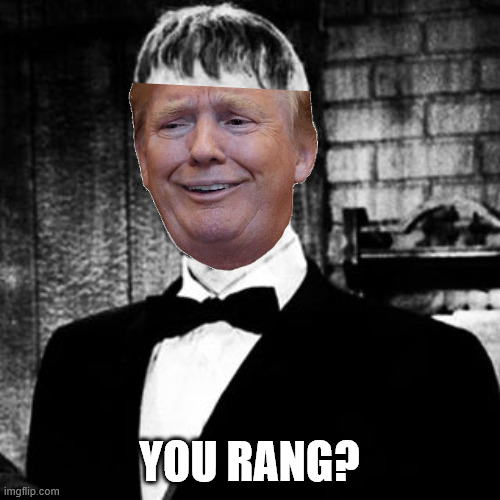 Lurch | YOU RANG? | image tagged in lurch | made w/ Imgflip meme maker