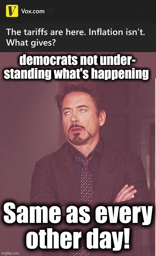 democrats not under-
standing what's happening; Same as every
other day! | image tagged in memes,face you make robert downey jr,tariffs,inflation,democrats,trump derangement syndrome | made w/ Imgflip meme maker