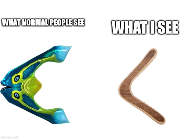 only subnautica players will understand | WHAT I SEE; WHAT NORMAL PEOPLE SEE | image tagged in gaming | made w/ Imgflip meme maker