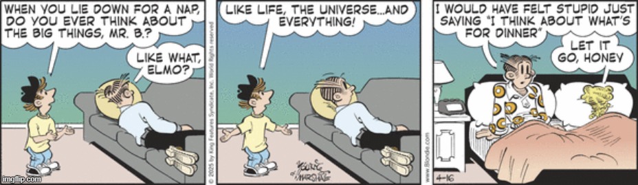 Blondie | image tagged in comics | made w/ Imgflip meme maker