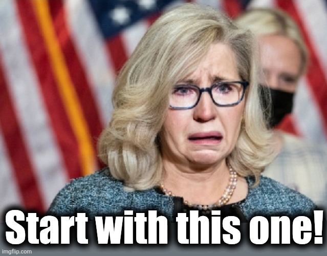 Liz Cheney | Start with this one! | image tagged in liz cheney | made w/ Imgflip meme maker