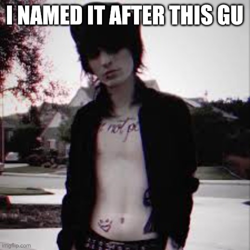 shitless johnnie guilbert | I NAMED IT AFTER THIS GU | image tagged in shitless johnnie guilbert | made w/ Imgflip meme maker