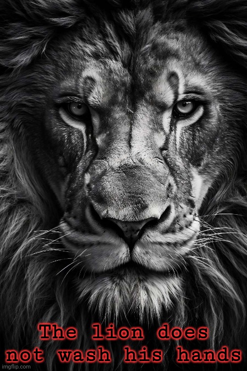 ..technically true | The lion does not wash his hands | image tagged in a lion doesn t concern himseld | made w/ Imgflip meme maker