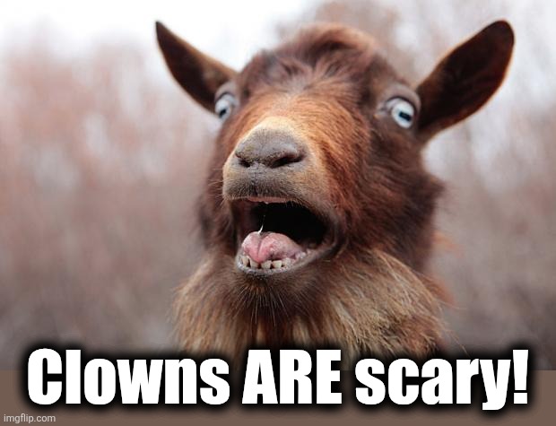 GoatScream2014 | Clowns ARE scary! | image tagged in goatscream2014 | made w/ Imgflip meme maker