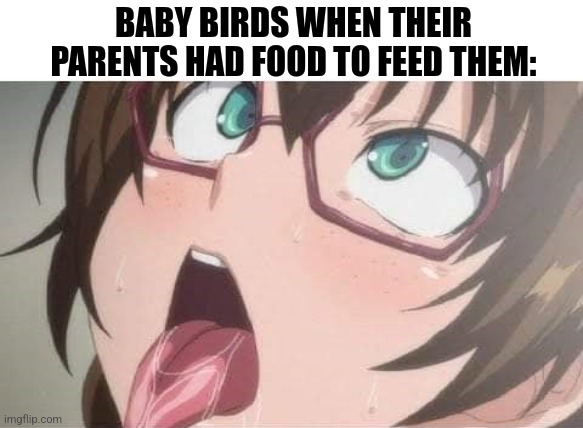 Anime | BABY BIRDS WHEN THEIR PARENTS HAD FOOD TO FEED THEM: | image tagged in memes,hentai,birds | made w/ Imgflip meme maker