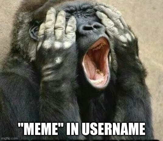 Gorilla anguish | "MEME" IN USERNAME | image tagged in gorilla anguish | made w/ Imgflip meme maker
