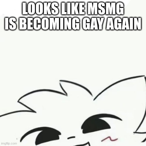 Boykisser :3 | LOOKS LIKE MSMG IS BECOMING GAY AGAIN | image tagged in boykisser 3 | made w/ Imgflip meme maker