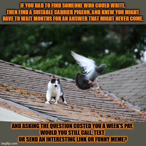 This #lolcat wonders how many messages we would sent if each costed us a week's pay | IF YOU HAD TO FIND SOMEONE WHO COULD WRITE, THEN FIND A SUITABLE CARRIER PIGEON, AND KNEW YOU MIGHT HAVE TO WAIT MONTHS FOR AN ANSWER THAT MIGHT NEVER COME, AND ASKING THE QUESTION COSTED YOU A WEEK'S PAY, 
WOULD YOU STILL CALL, TEXT 
OR SEND AN INTERESTING LINK OR FUNNY MEME? | image tagged in lolcat,text messages,whatsapp,email | made w/ Imgflip meme maker