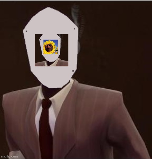 image tagged in custom spy mask | made w/ Imgflip meme maker