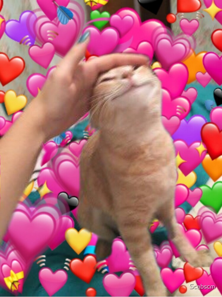 Kitty Love Blank Meme Template