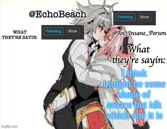 I also might be dumb and wrong | I think I might be some shade of aroace but idk which one it is | image tagged in echobeach and insaneperson shared temp 3 | made w/ Imgflip meme maker