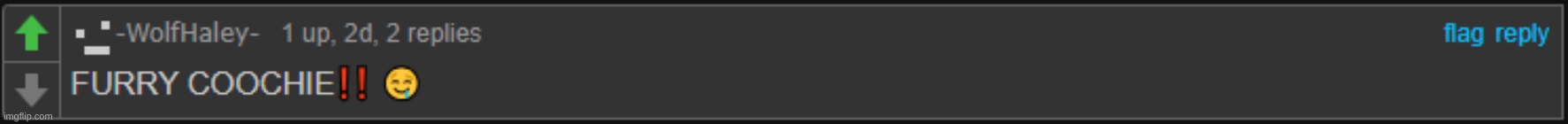 FURRY COOHIE | image tagged in furry coohie | made w/ Imgflip meme maker