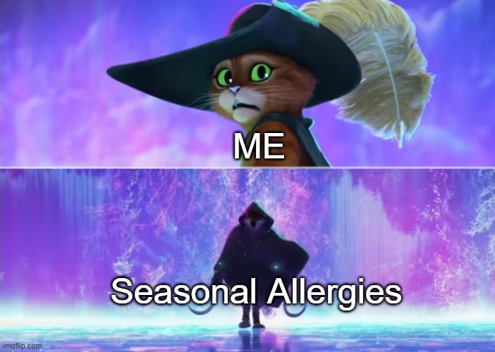 Allergies | ME; Seasonal Allergies | image tagged in puss in boots scared | made w/ Imgflip meme maker