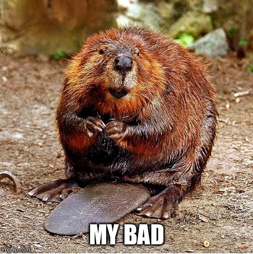My bad | MY BAD | image tagged in my bad | made w/ Imgflip meme maker