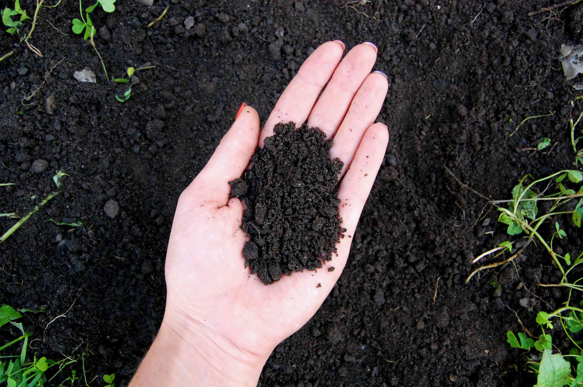 High Quality LOAM Blank Meme Template