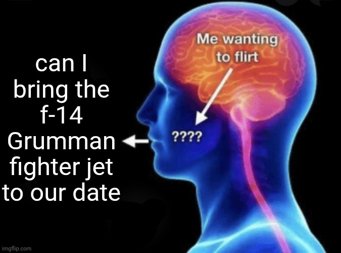 Me wanting to flirt | can I bring the f-14 Grumman fighter jet to our date | image tagged in me wanting to flirt | made w/ Imgflip meme maker