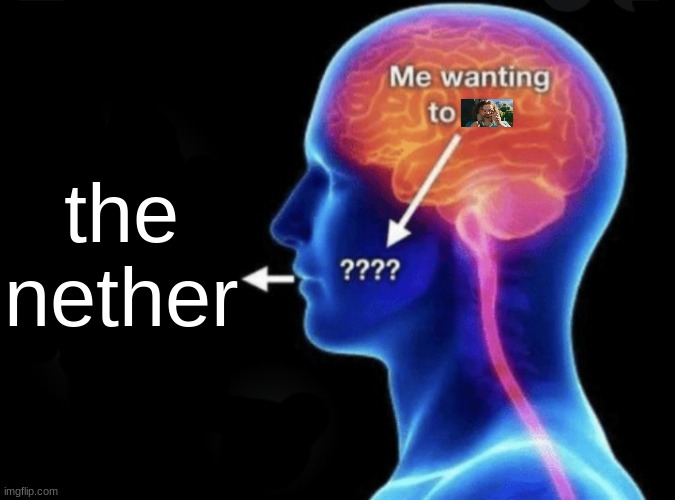 Me wanting to flirt | the nether | image tagged in me wanting to flirt | made w/ Imgflip meme maker