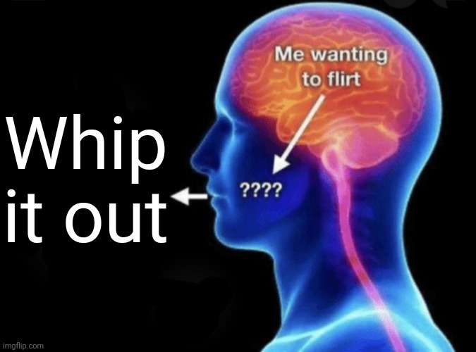 Me wanting to flirt | Whip it out | image tagged in me wanting to flirt | made w/ Imgflip meme maker