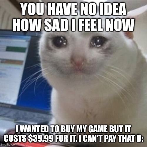 :( | YOU HAVE NO IDEA HOW SAD I FEEL NOW; I WANTED TO BUY MY GAME BUT IT COSTS $39.99 FOR IT, I CAN'T PAY THAT D: | image tagged in crying cat | made w/ Imgflip meme maker