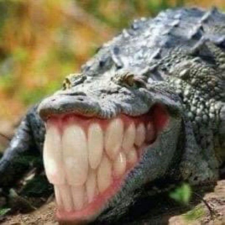 How I look at my bro after i mess up his hair. Blank Meme Template