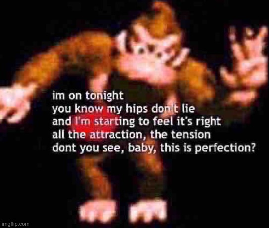 DK shakira | image tagged in dk shakira | made w/ Imgflip meme maker