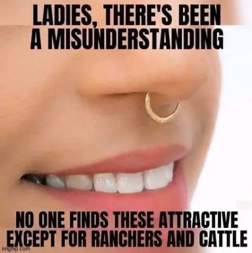 File under SO TRUE MEMES... | image tagged in nose,cringe worthy,cringe,eww,strange,bad decision | made w/ Imgflip meme maker