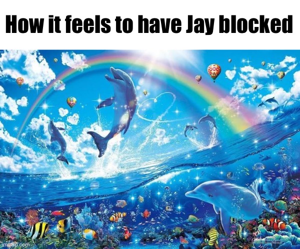 Happy dolphin rainbow | How it feels to have Jay blocked | image tagged in happy dolphin rainbow | made w/ Imgflip meme maker