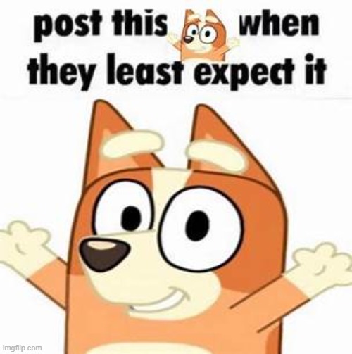 post this bingo heeler when they least expect it | image tagged in post this bingo heeler when they least expect it | made w/ Imgflip meme maker