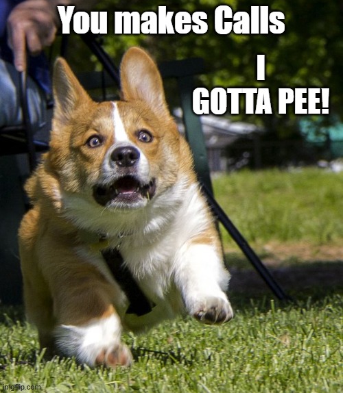 You Call Gotta Pee | You makes Calls; I GOTTA PEE! | image tagged in you make calls,i gotta pee | made w/ Imgflip meme maker