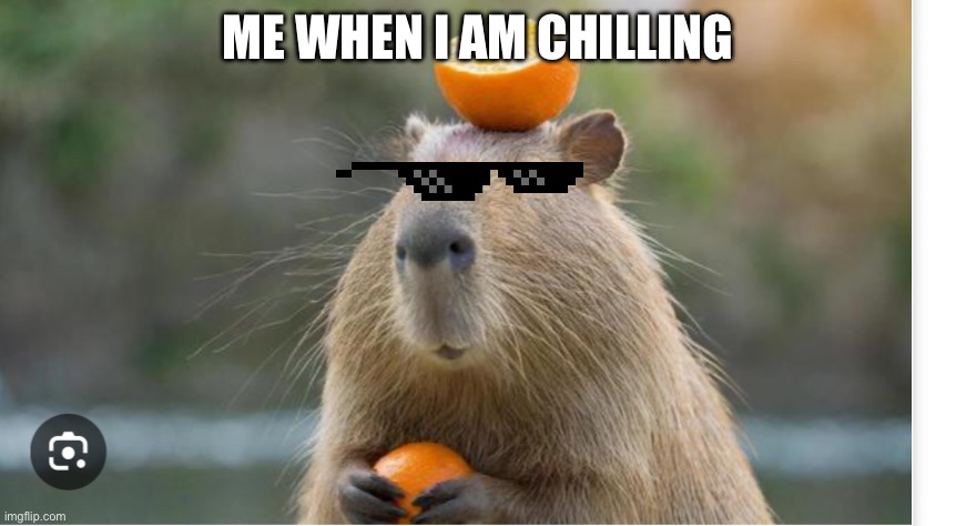 Chilling | ME WHEN I AM CHILLING | image tagged in chill | made w/ Imgflip meme maker