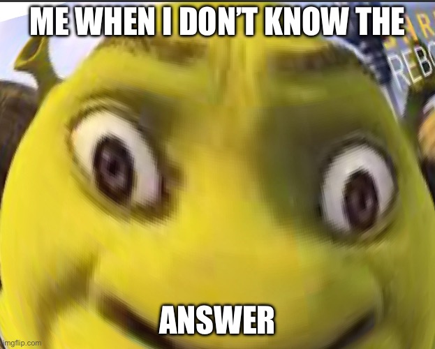 That is me in class | ME WHEN I DON’T KNOW THE; ANSWER | image tagged in i don't need sleep i need answers | made w/ Imgflip meme maker