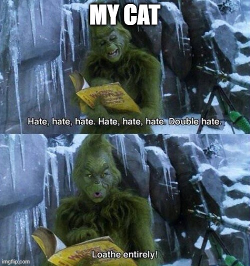 MY CAT | image tagged in hate | made w/ Imgflip meme maker