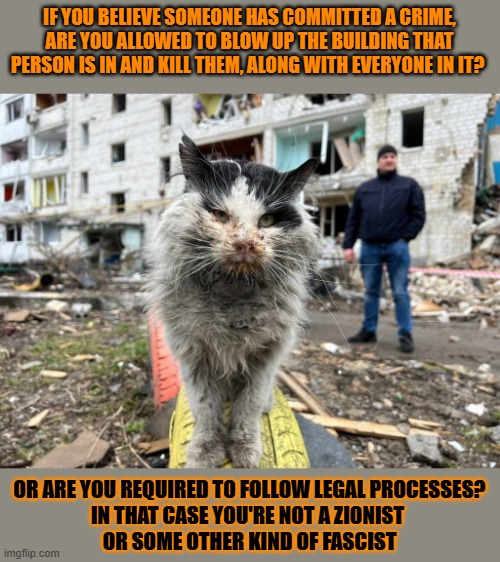 This #lolcat wonders why zionists don't have to follow the law | IF YOU BELIEVE SOMEONE HAS COMMITTED A CRIME, ARE YOU ALLOWED TO BLOW UP THE BUILDING THAT PERSON IS IN AND KILL THEM, ALONG WITH EVERYONE IN IT? OR ARE YOU REQUIRED TO FOLLOW LEGAL PROCESSES?
IN THAT CASE YOU'RE NOT A ZIONIST 
OR SOME OTHER KIND OF FASCIST | image tagged in law,double standards,zionism,fascism,lolcat | made w/ Imgflip meme maker