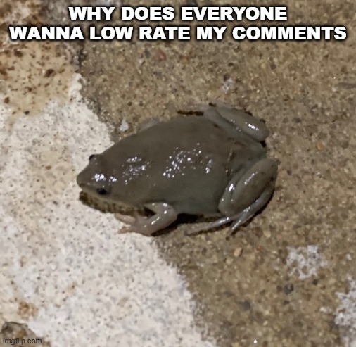 fog | WHY DOES EVERYONE WANNA LOW RATE MY COMMENTS | image tagged in fog | made w/ Imgflip meme maker