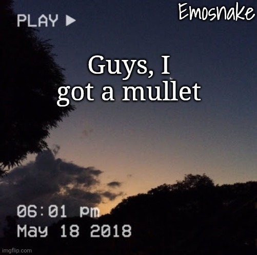 Emosnake's dreamy temp | Guys, I got a mullet | image tagged in emosnake's dreamy temp | made w/ Imgflip meme maker