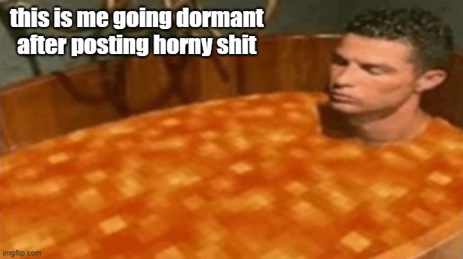 this is me going dormant after posting horny shit | made w/ Imgflip meme maker