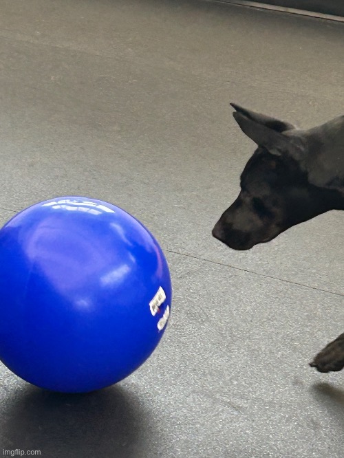 Bähl | made w/ Imgflip meme maker