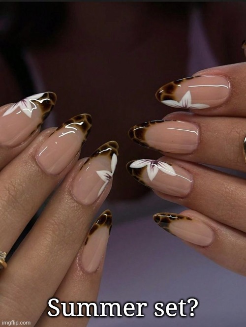 Summer set? | made w/ Imgflip meme maker