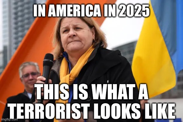 Judge Hannah Dugan Aided a Criminal Defendant Illegal Alien in Escaping Arrest Because her Job Depends on Crime and Criminals. | IN AMERICA IN 2025; THIS IS WHAT A TERRORIST LOOKS LIKE | image tagged in hannah dugan,liberal logic,liberal hypocrisy,stupid liberals,illegal immigration,communism | made w/ Imgflip meme maker