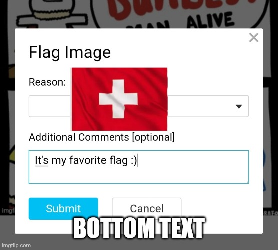 Image Title | BOTTOM TEXT | image tagged in bruh | made w/ Imgflip meme maker