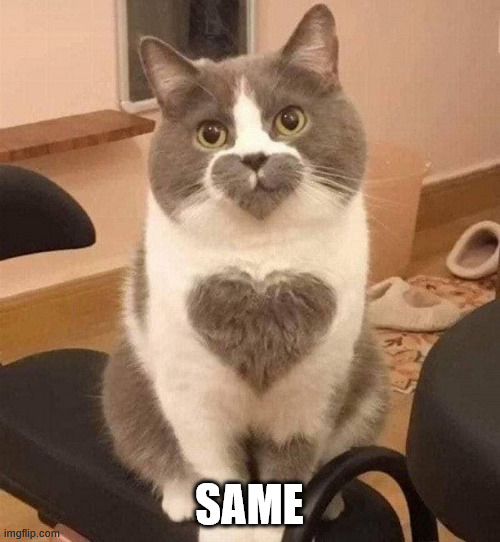 SAME | made w/ Imgflip meme maker