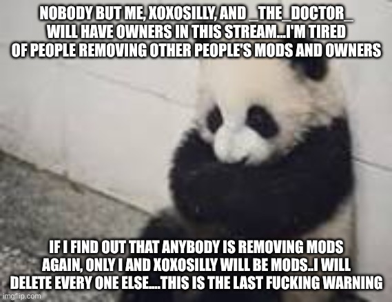 sad panda | NOBODY BUT ME, XOXOSILLY, AND _THE_DOCTOR_ WILL HAVE OWNERS IN THIS STREAM...I'M TIRED OF PEOPLE REMOVING OTHER PEOPLE'S MODS AND OWNERS; IF I FIND OUT THAT ANYBODY IS REMOVING MODS AGAIN, ONLY I AND XOXOSILLY WILL BE MODS..I WILL DELETE EVERY ONE ELSE....THIS IS THE LAST FUCKING WARNING | image tagged in sad panda | made w/ Imgflip meme maker