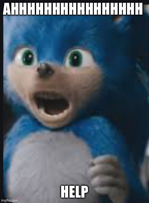 sanic | AHHHHHHHHHHHHHHHH; HELP | image tagged in memes | made w/ Imgflip meme maker